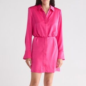BCBG Long Sleeve Pink Chiffon Dress (S)